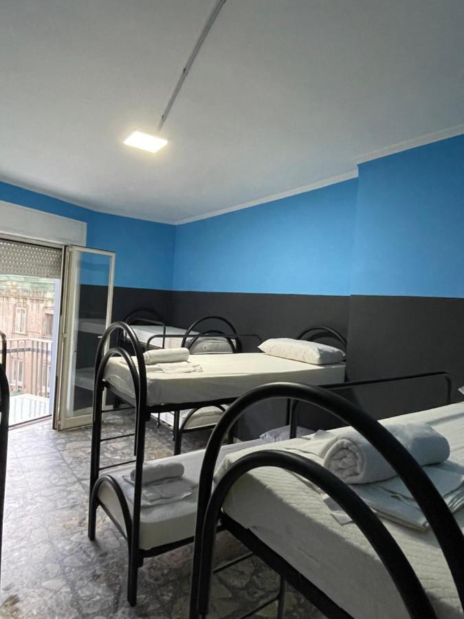 Auberge de jeunesse Alexander *